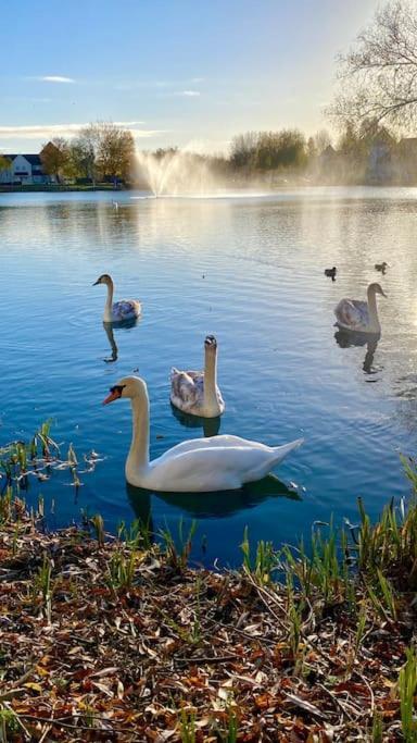 Emerald Lake House Саут-Керни Экстерьер фото