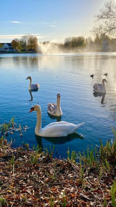 Вилла Emerald Lake House Саут-Керни Экстерьер фото